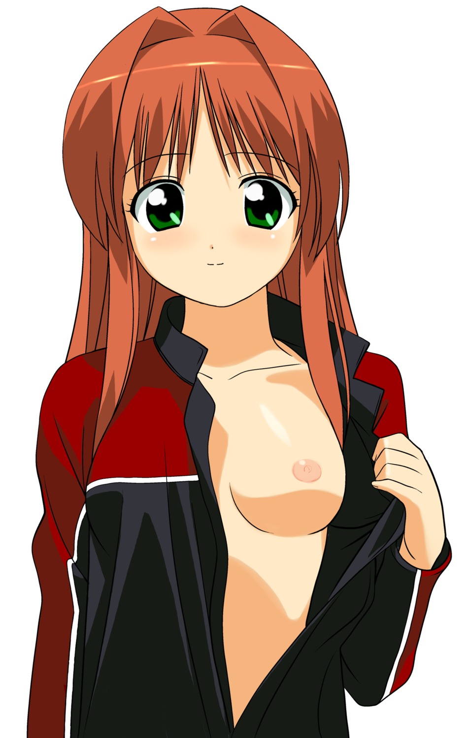a1 breasts hikari initial-g kono_minikuku_mo_utsukushii_sekai nipples no_bra open_shirt