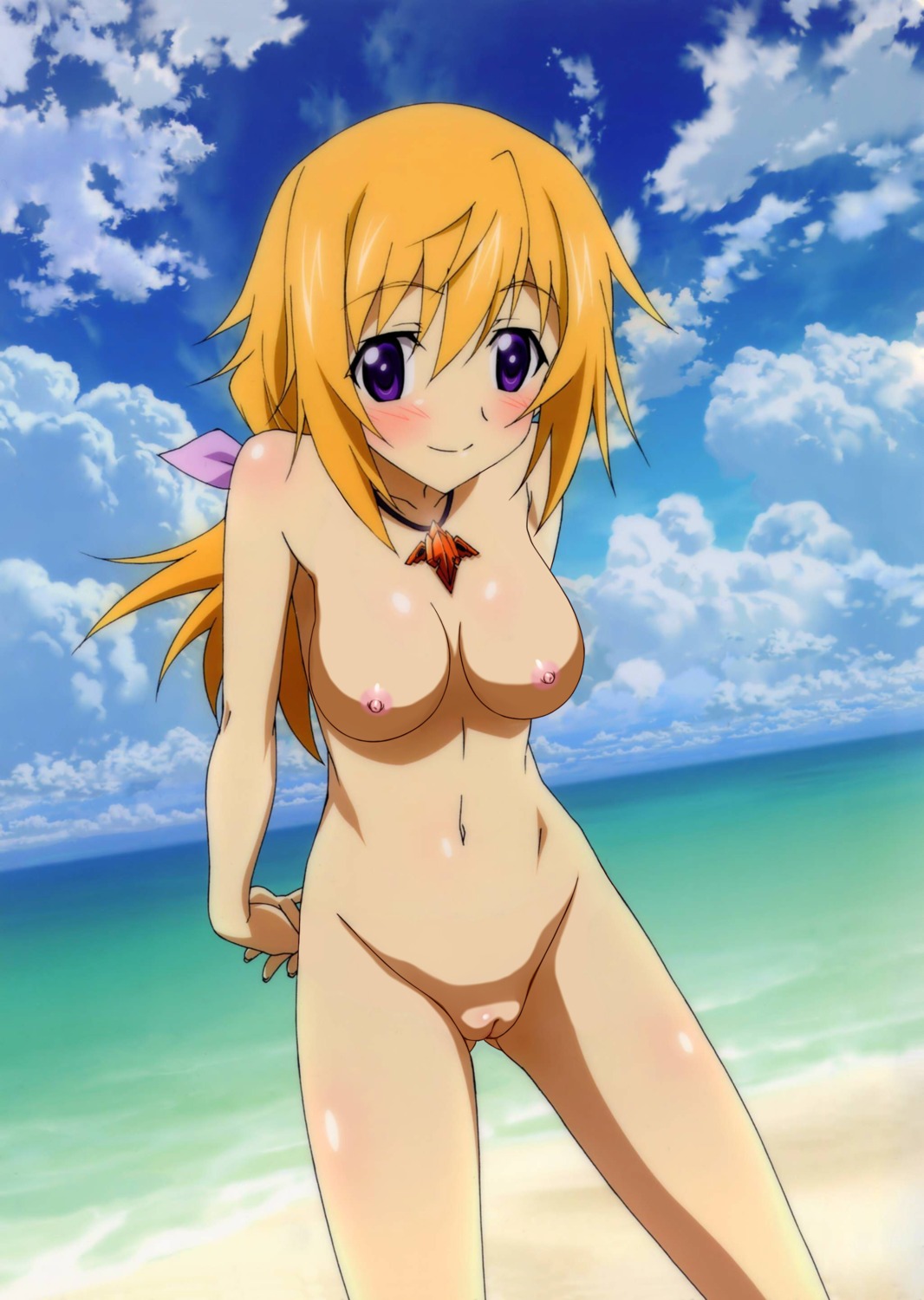 charlotte_dunois infinite_stratos naked nipples photoshop pussy uncensored