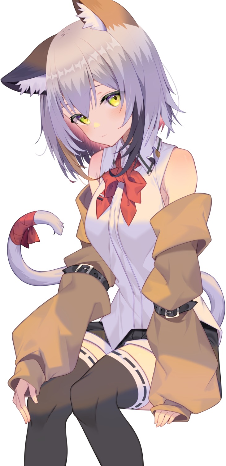 animal_ears jun_(aousa0328) nekomimi tail thighhighs