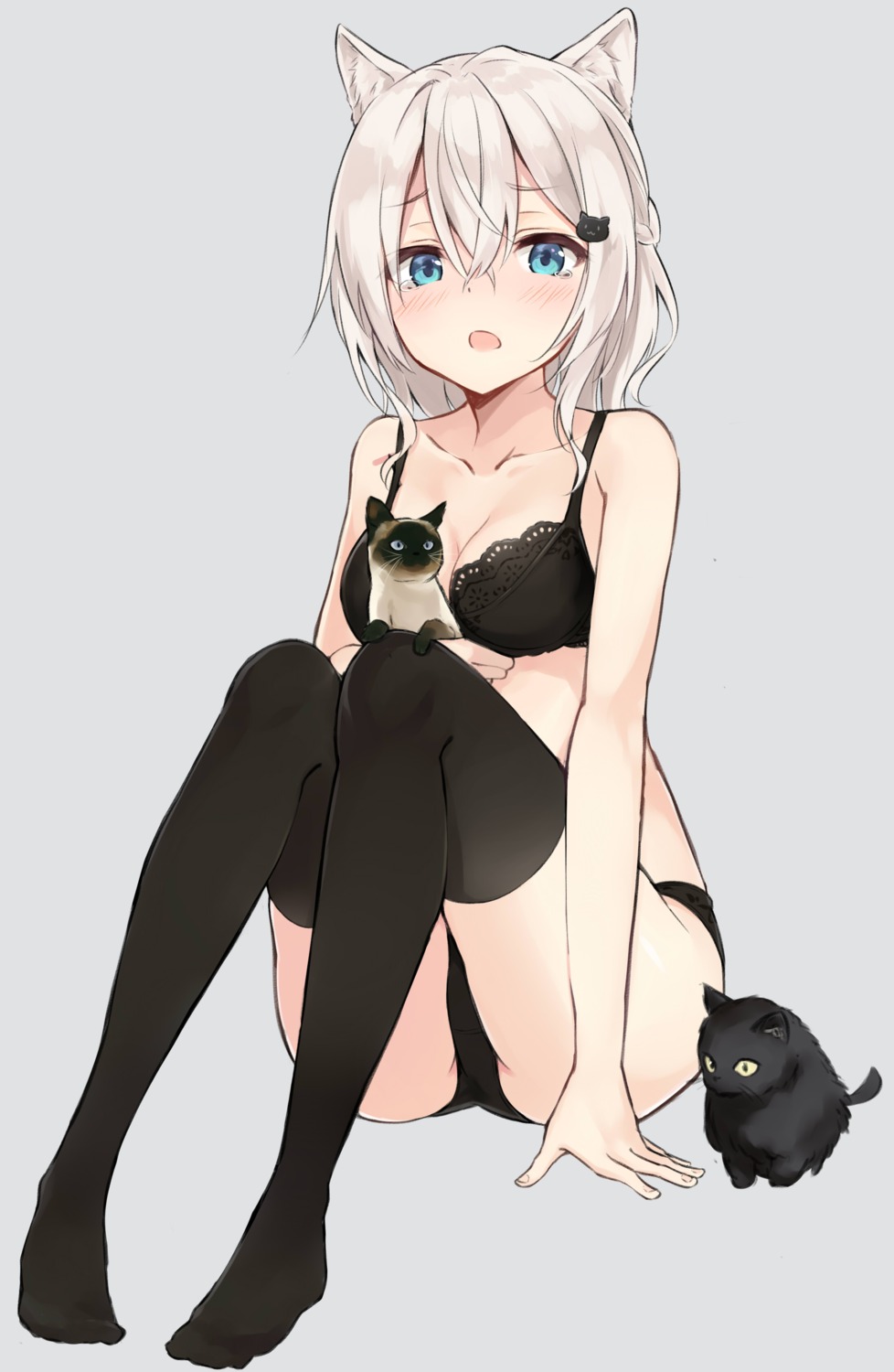 animal_ears azuuru bra cleavage neko nekomimi pantsu