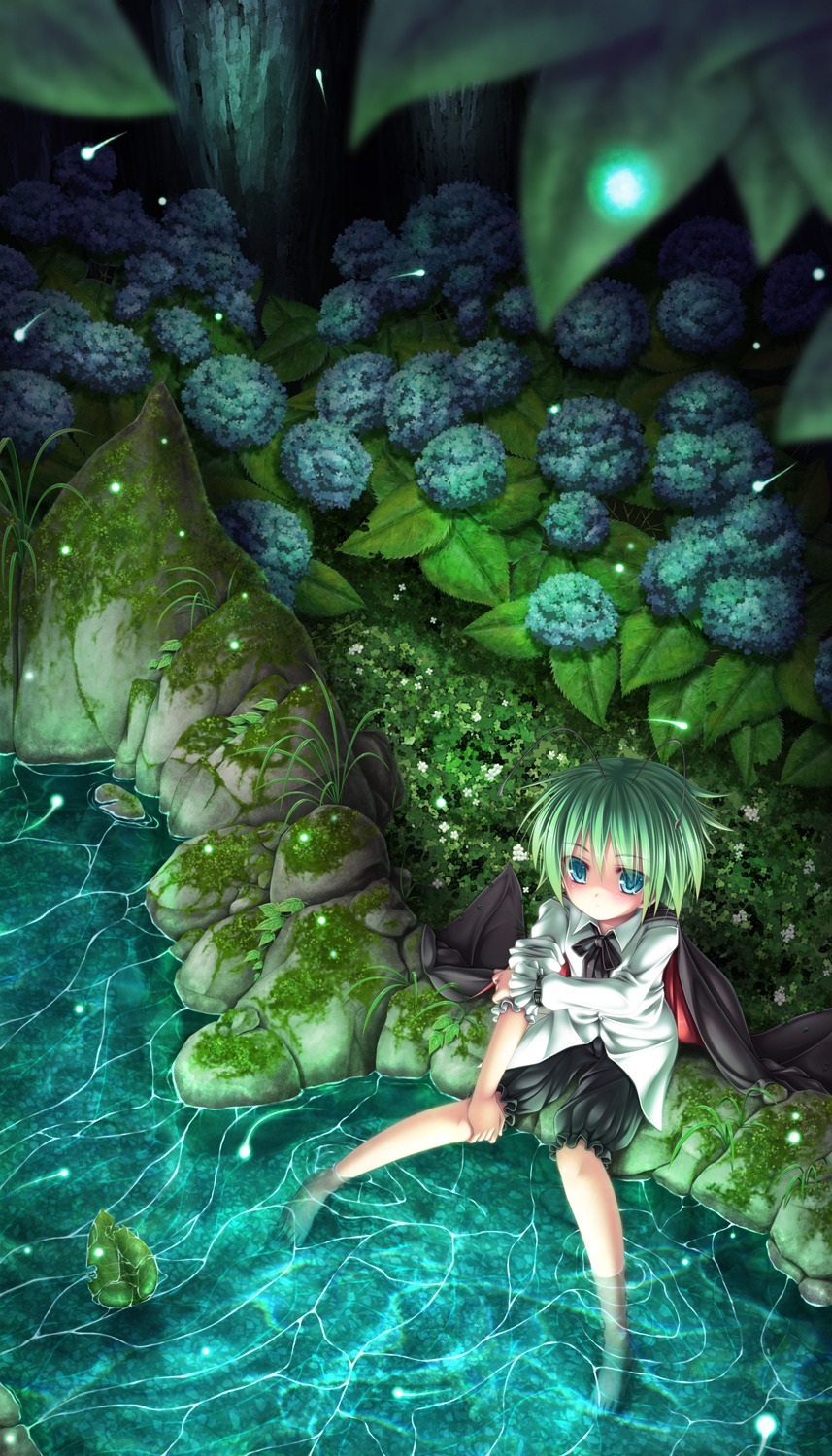 koruri touhou wriggle_nightbug