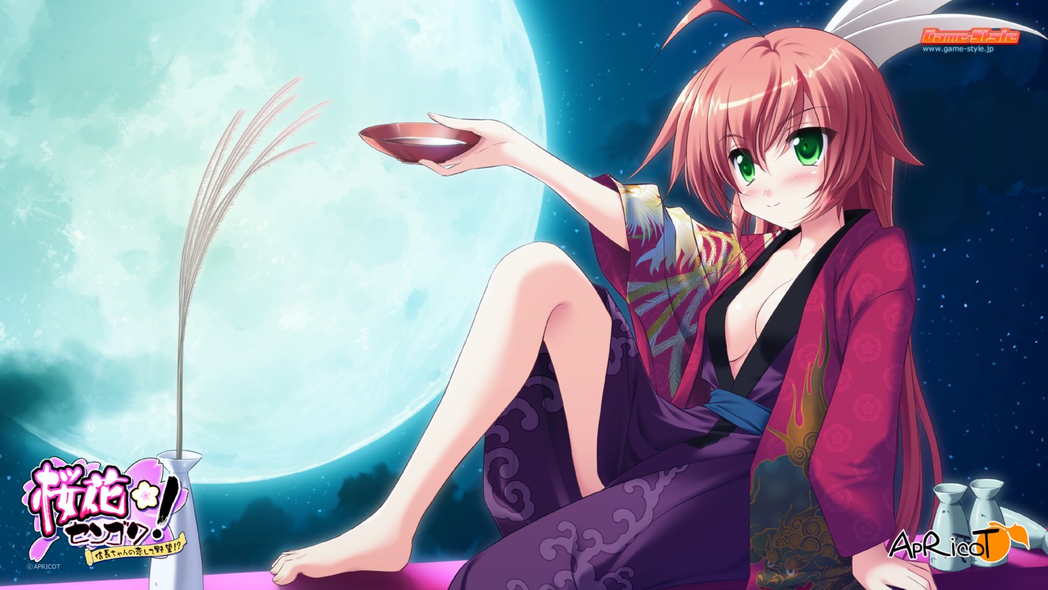 apricot cleavage game-style no_bra oda_nobunaga oda_nobunaga_(ouka_sengoku) ouka_sengoku sake toma wallpaper yukata