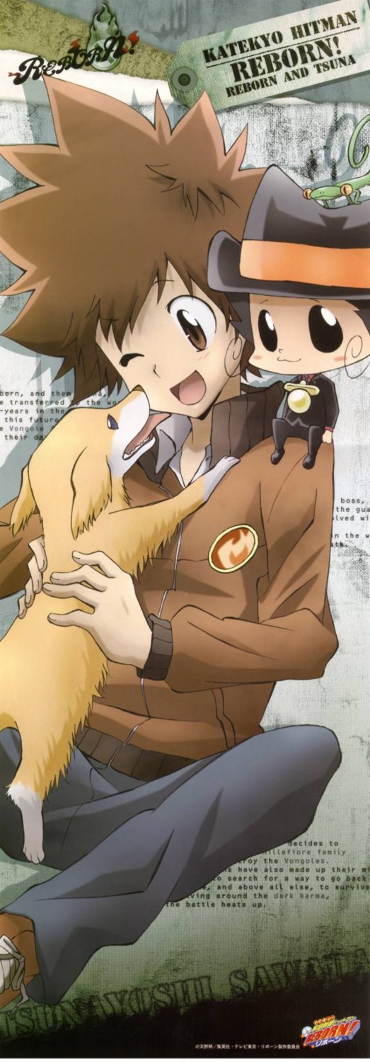 jpeg_artifacts katekyo_hitman_reborn! male reborn sawada_tsunayoshi stick_poster