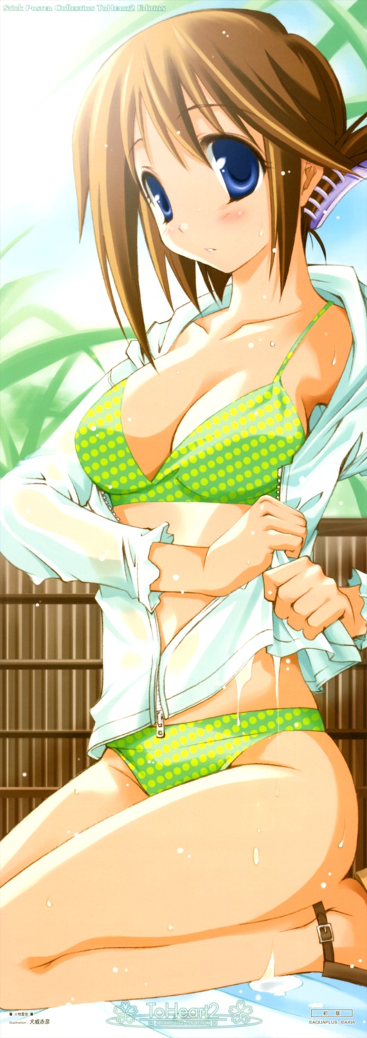 bikini cleavage inui_sekihiko komaki_manaka stick_poster swimsuits to_heart_(series) to_heart_2