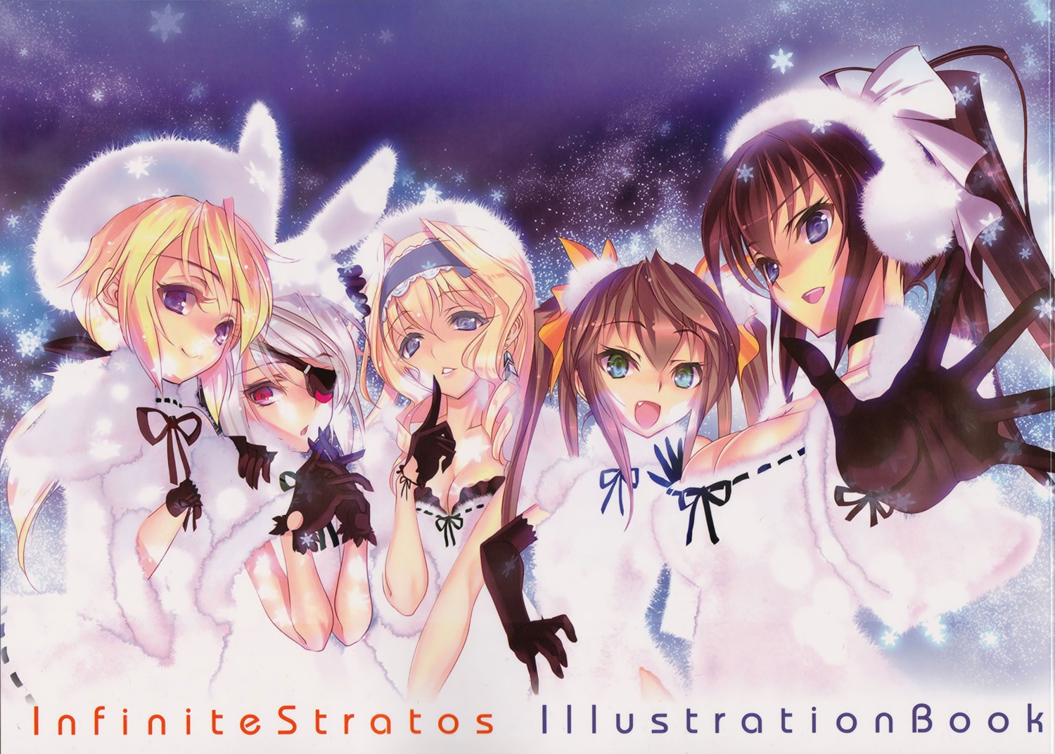 Infinite Stratos, Infinite Stratos Wiki