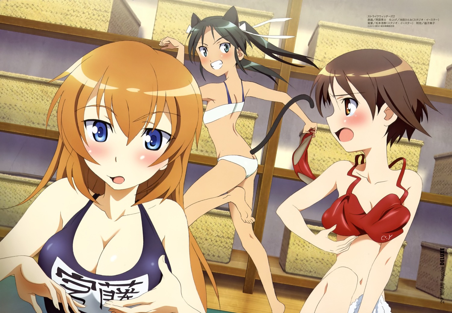 abiru_tadashi animal_ears bra breast_grab charlotte_e_yeager cleavage francesca_lucchini miyafuji_yoshika pantsu school_swimsuit strike_witches swimsuits tail