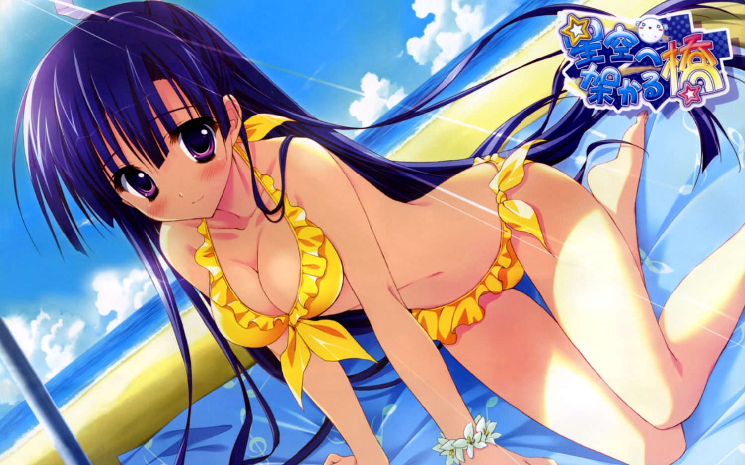 bikini cleavage feng hoshizora_e_kakaru_hashi koumoto_madoka ryohka swimsuits wallpaper