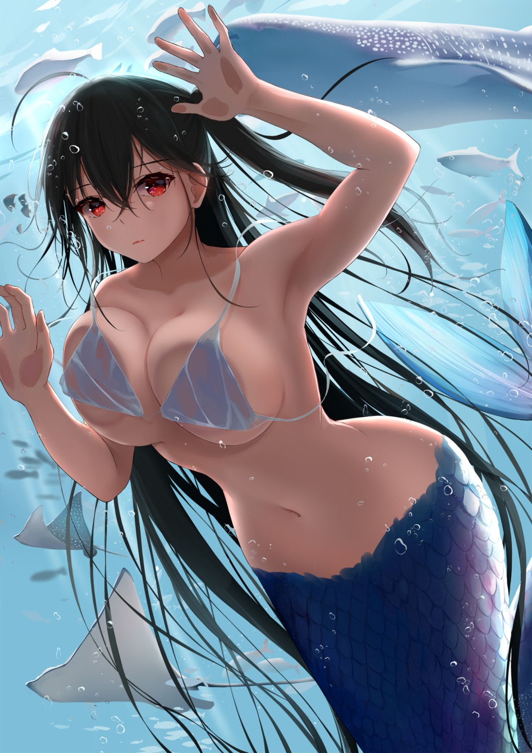azur_lane bikini_top mermaid monster_girl see_through shigatsu_(4gate) swimsuits taihou_(azur_lane) tail wardrobe_malfunction