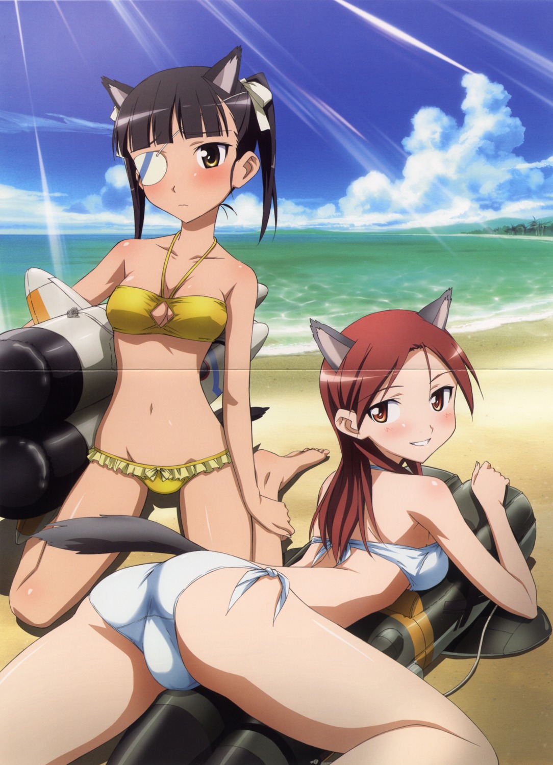 animal_ears ass bikini cleavage crease eyepatch inumimi kaidou_hiroyuki minna_dietlinde_wilcke sakamoto_mio strike_witches swimsuits tail