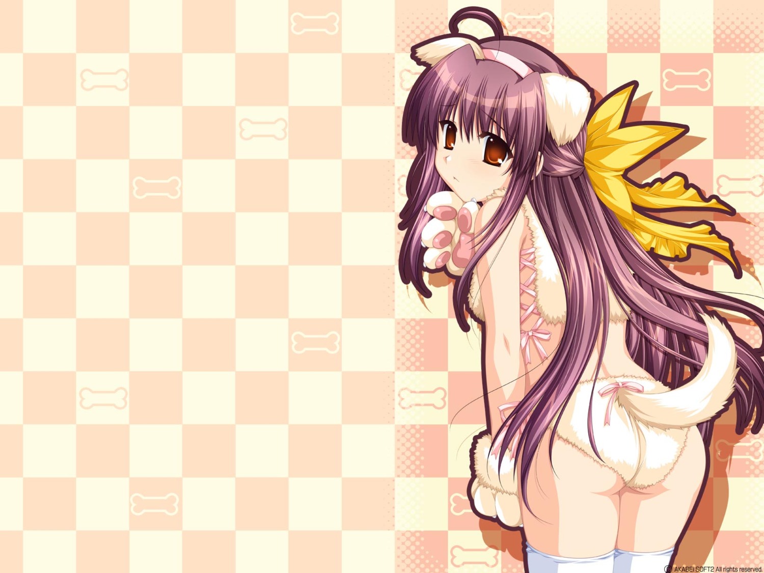 alpha animal_ears hinata_natsumi pantsu sharin_no_kuni_himawari_no_shoujo tail thighhighs wallpaper