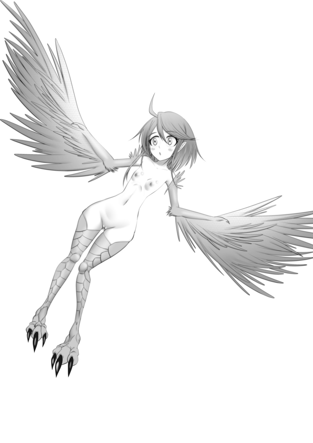 d-fry monochrome monster_girl monster_musume_no_iru_nichijou naked nipples papi pussy uncensored wings