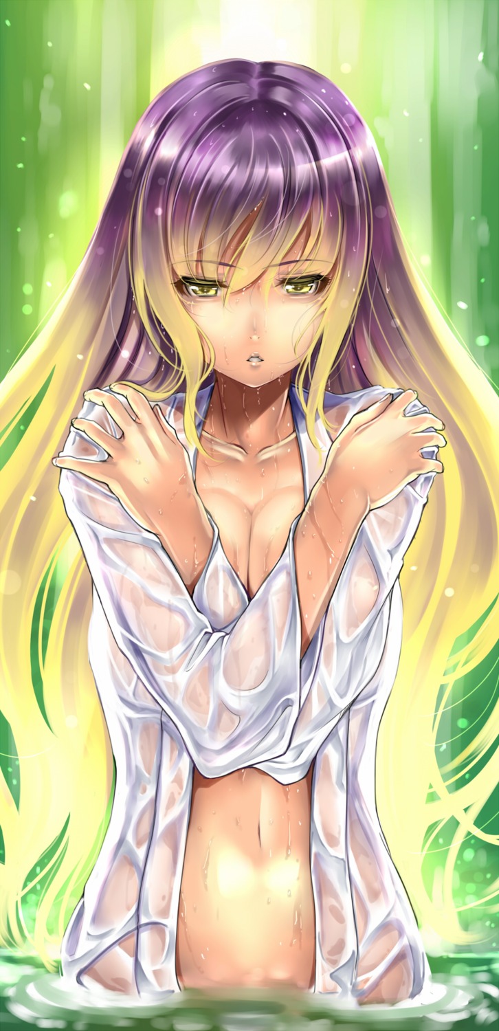 cleavage hijiri_byakuren open_shirt robe saburou_(hgmg) touhou wet_clothes