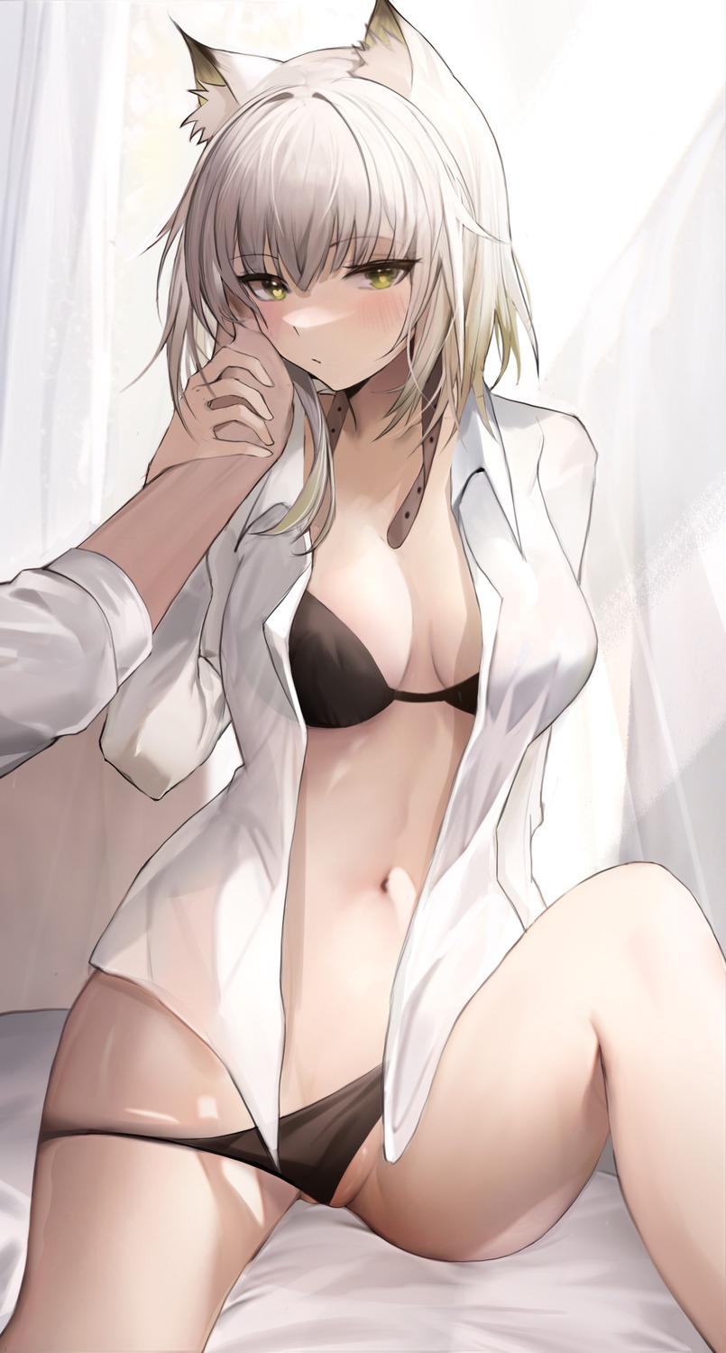 animal_ears arknights bra dress_shirt kal'tsit_(arknights) open_shirt pantsu panty_pull tabayashi thong