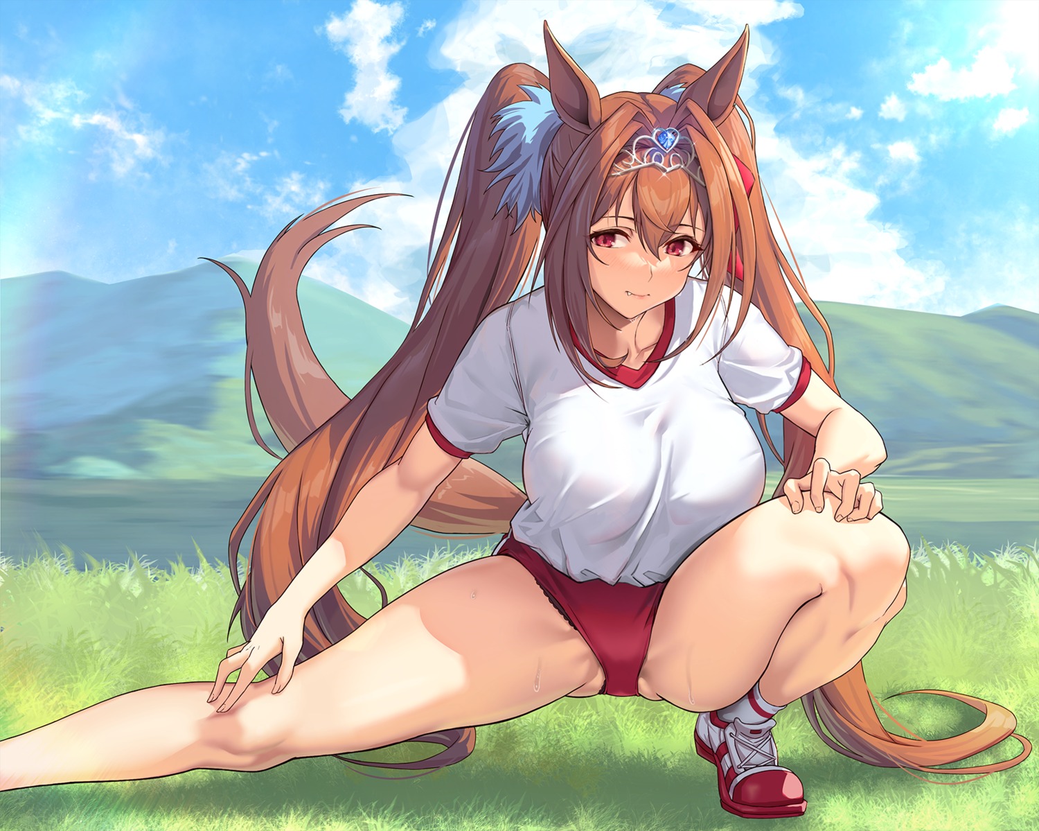 animal_ears buruma daiwa_scarlet_(umamusume) gym_uniform pantsu solar_(happymonk) tail uma_musume_pretty_derby wet