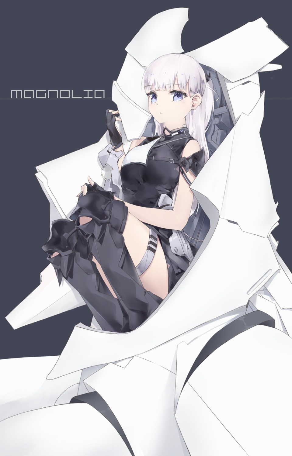 armor garter mecha tr_(hareru)