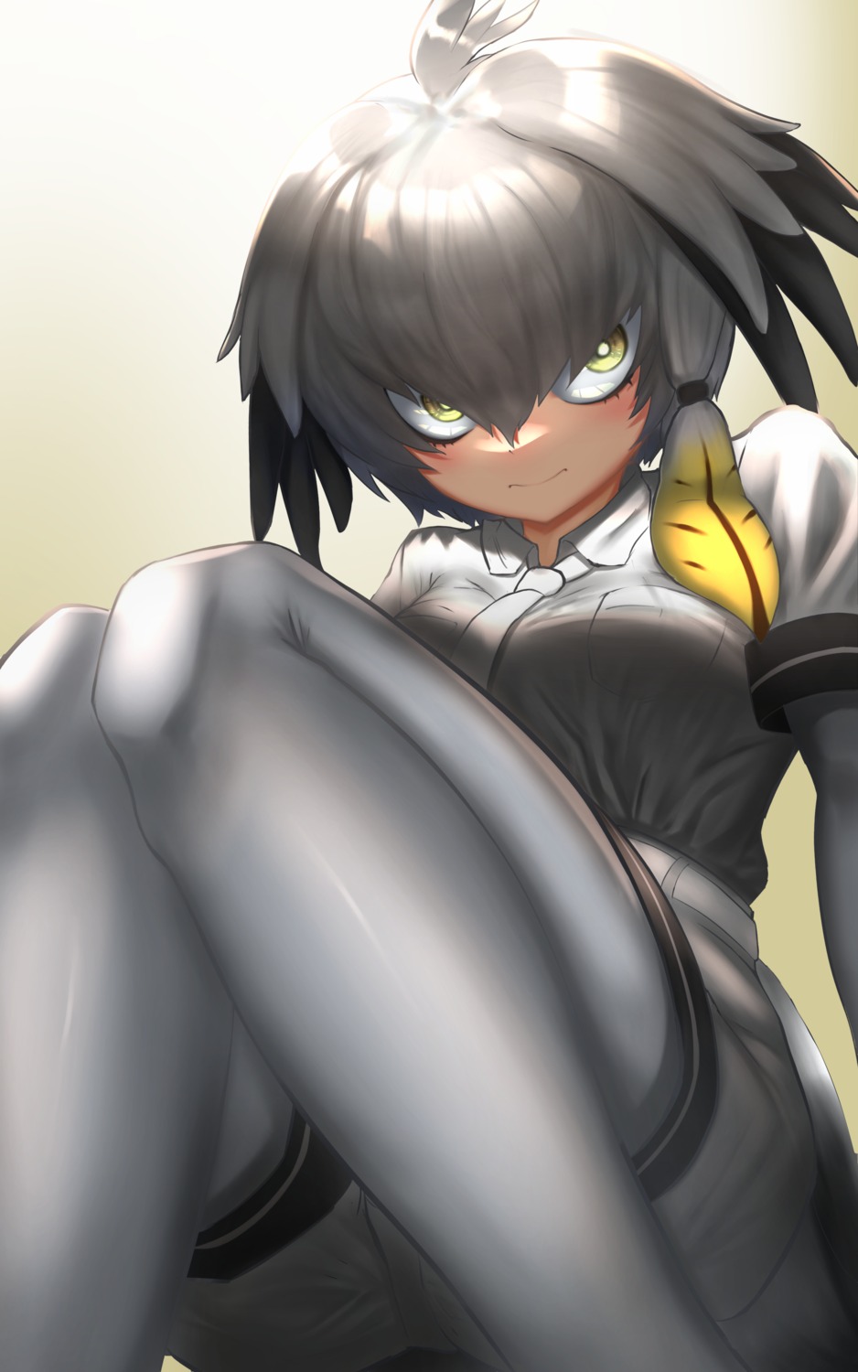 kemono_friends pantyhose shoebill tagme wings