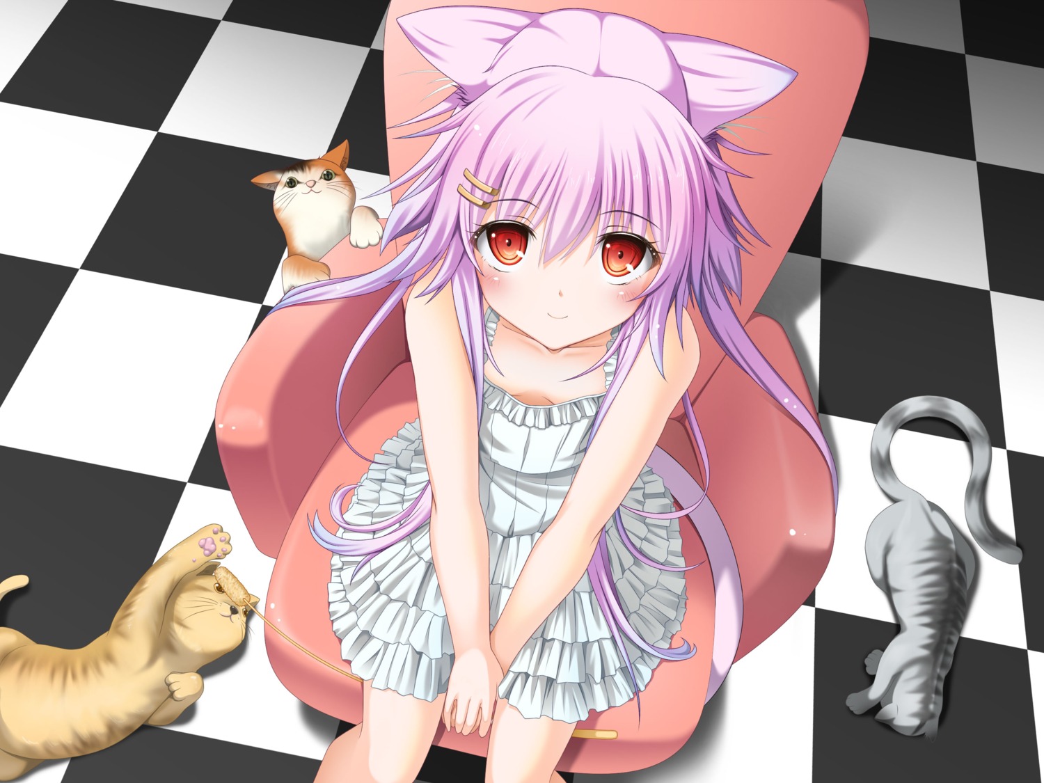 animal_ears dress moeki_yuuta neko nekomimi tail