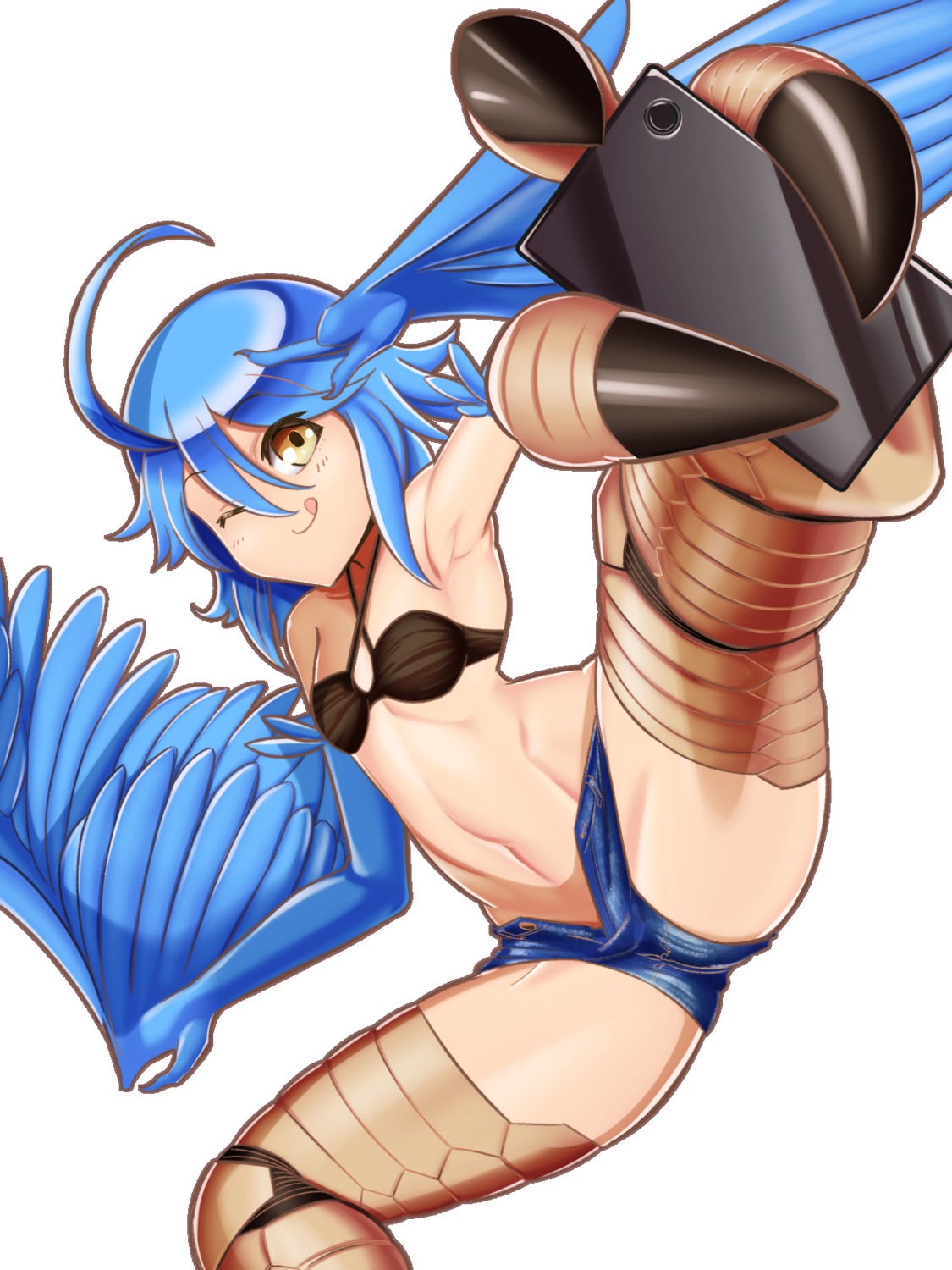 bikini_top imaani monster_girl monster_musume_no_iru_nichijou papi swimsuits wings