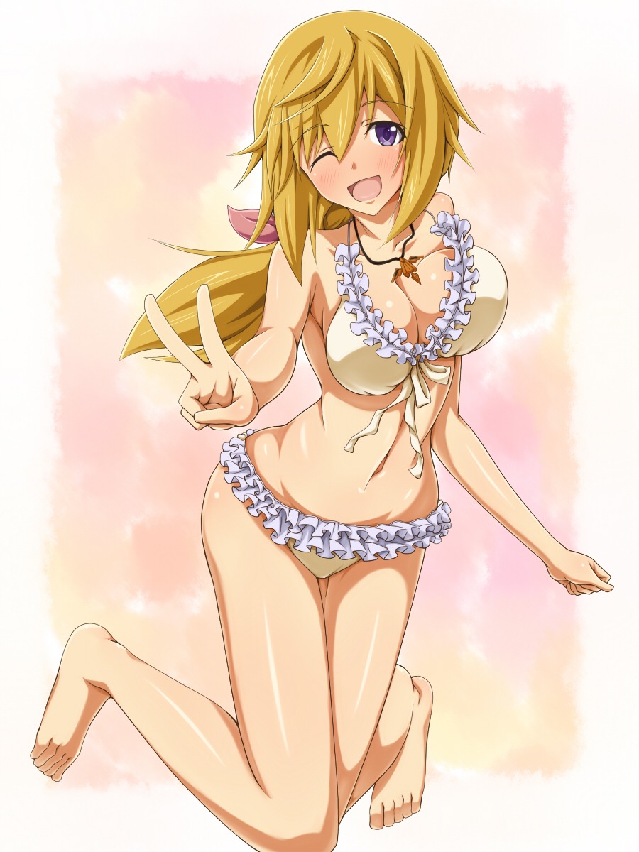 bikini charlotte_dunois cleavage infinite_stratos mei_ichi swimsuits