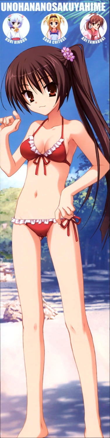 bikini cleavage kobuichi swimsuits tenshinranman unohananosakuyahime