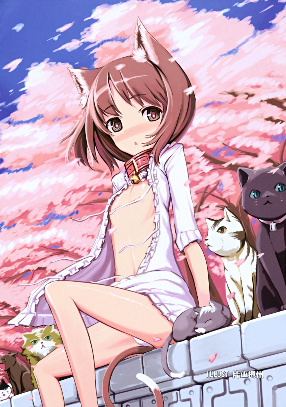 animal_ears loli neko nekomimi nipple_slip open_shirt pantsu sessue tail