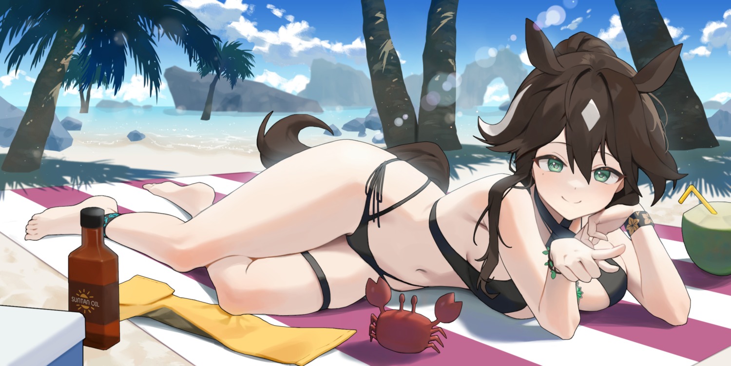 animal_ears arknights bikini byo_chyo garter meteor_(arknights) swimsuits tail