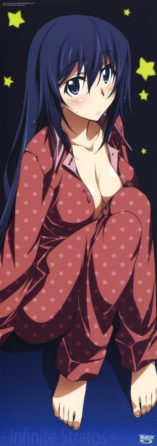 cleavage infinite_stratos kurashima_tomoyasu no_bra open_shirt pajama shinonono_houki stick_poster