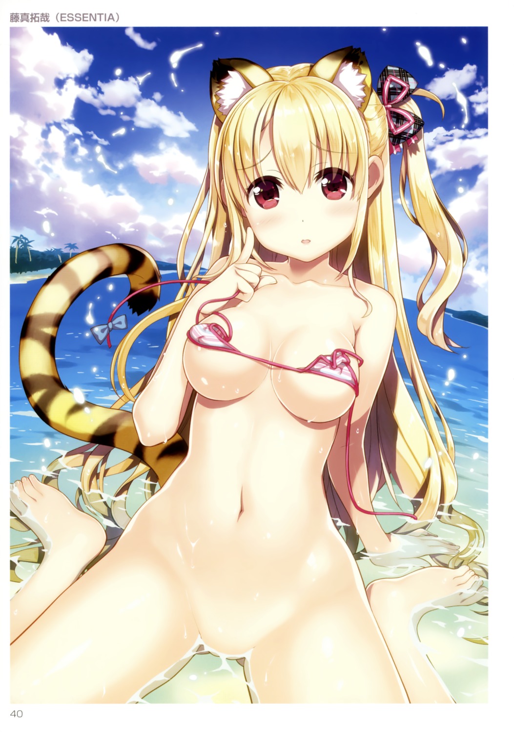 animal_ears areola bikini_top erect_nipples fujima_takuya swimsuits tail toranoana wet