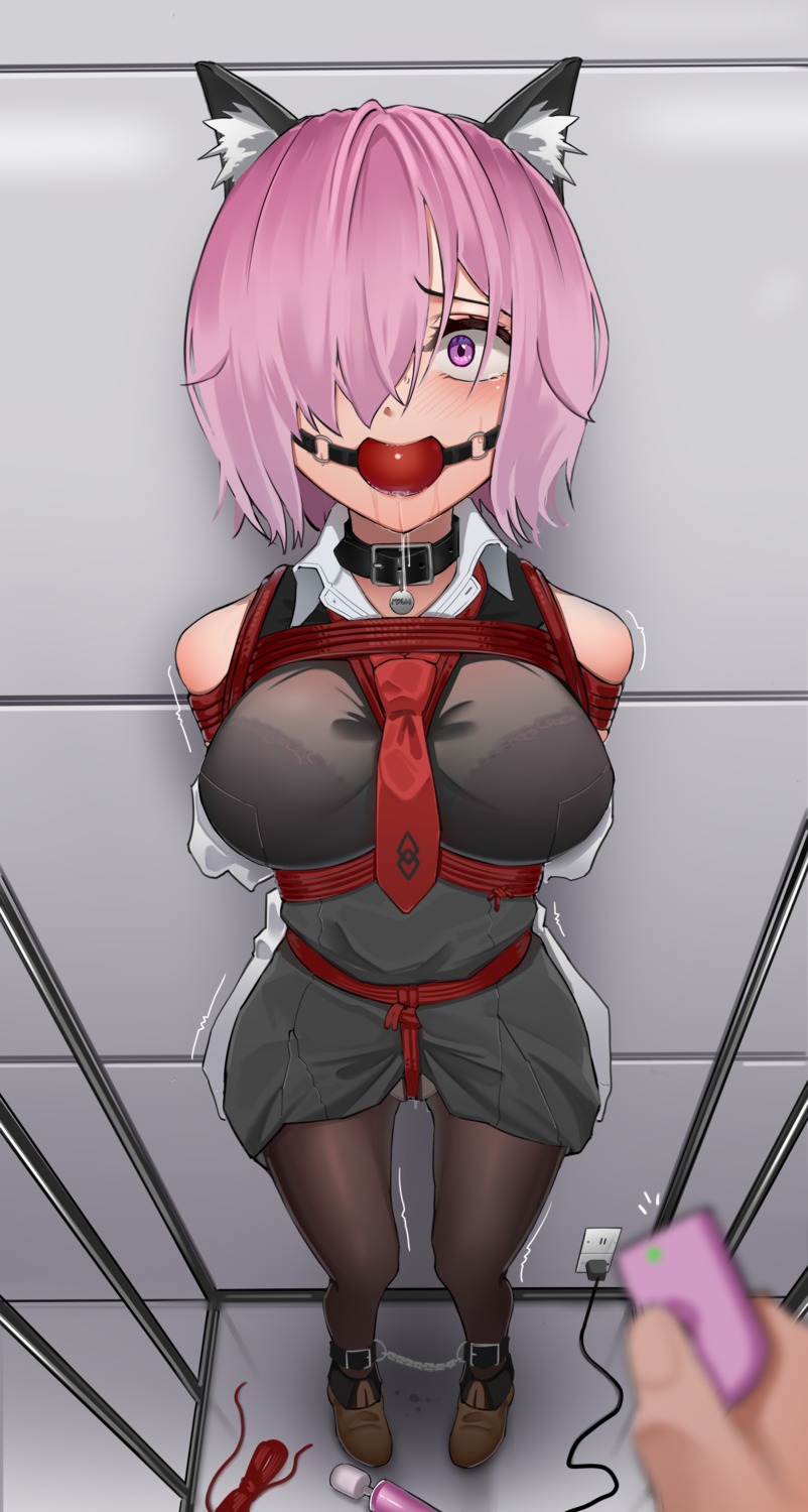 animal_ears bondage bra fate/grand_order harris_hero mash_kyrielight pantsu pantyhose see_through skirt_lift