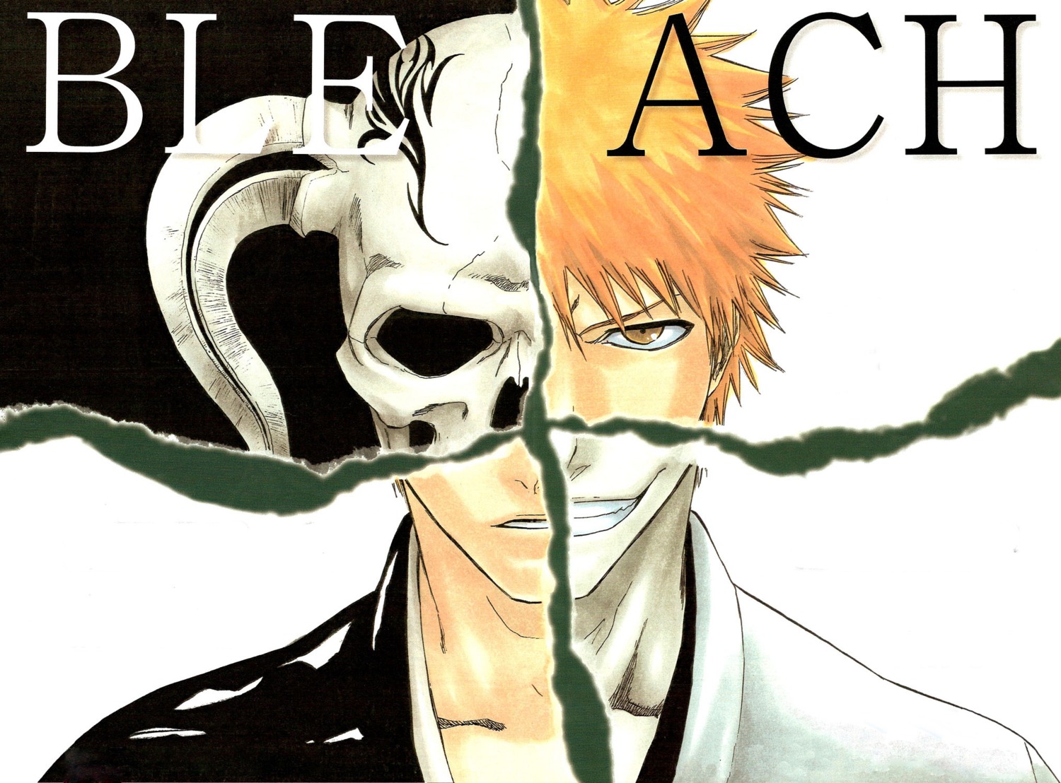 bleach kubo_tite kurosaki_ichigo male