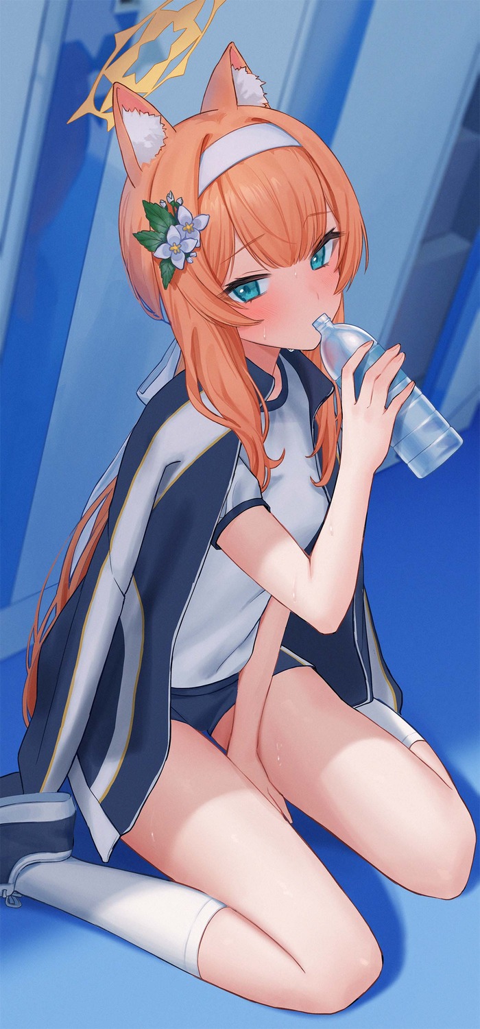 animal_ears blue_archive gym_uniform halo iochi_mari jfjf nekomimi