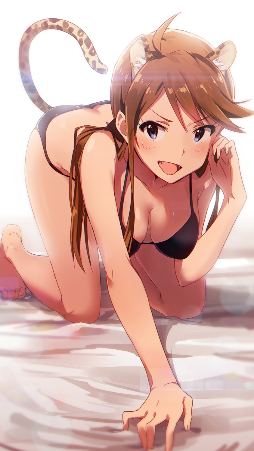 animal_ears bikini cleavage h@ll swimsuits tail the_idolm@ster the_idolm@ster_million_live! tokoro_megumi