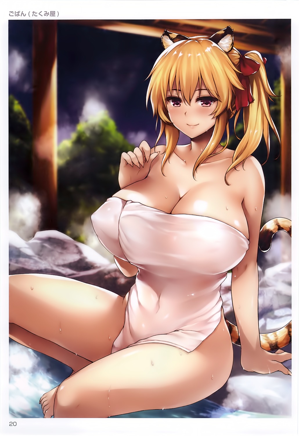 animal_ears goban onsen overfiltered tail toranoana towel