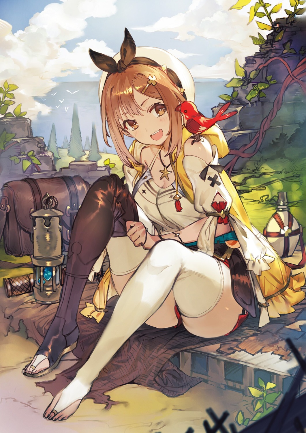 atelier atelier_ryza koei_tecmo reisalin_stout toridamono