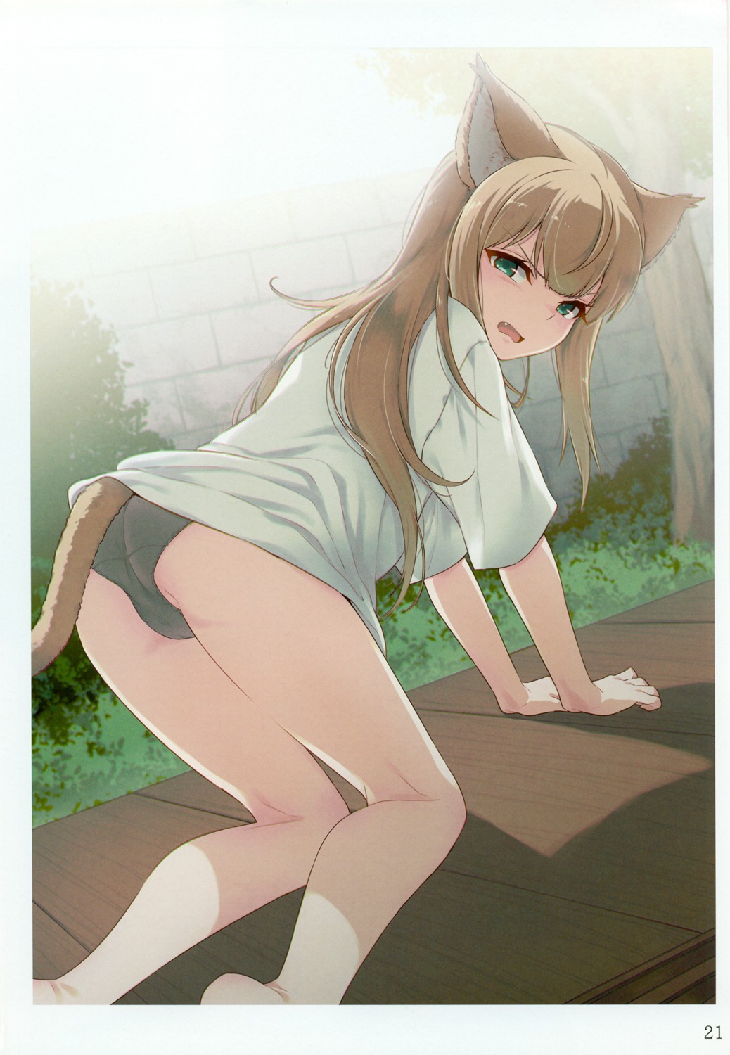 40hara animal_ears ass kinako_(40hara) nekomimi pantsu tail