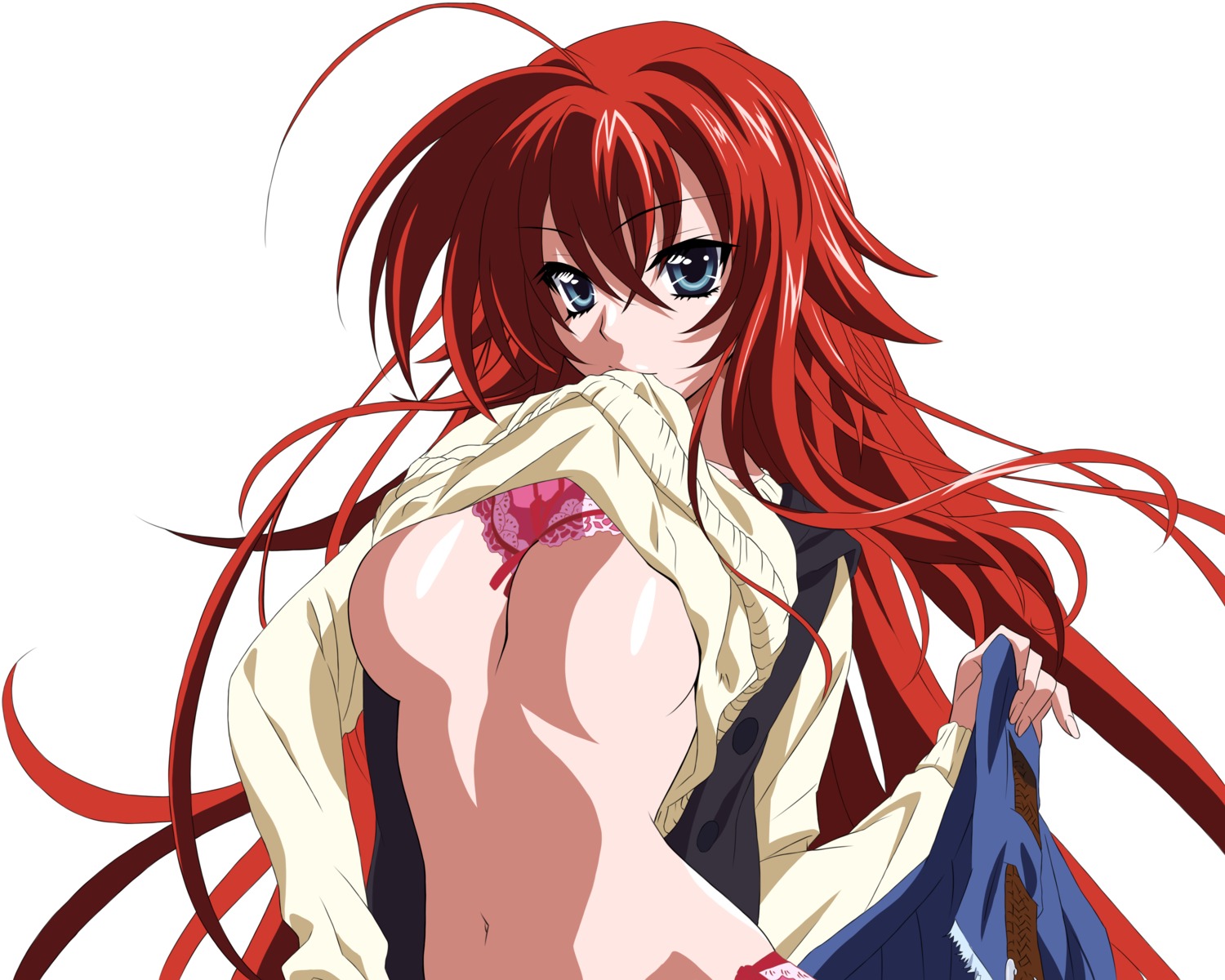 bra highschool_dxd rias_gremory shirt_lift touhu underboob