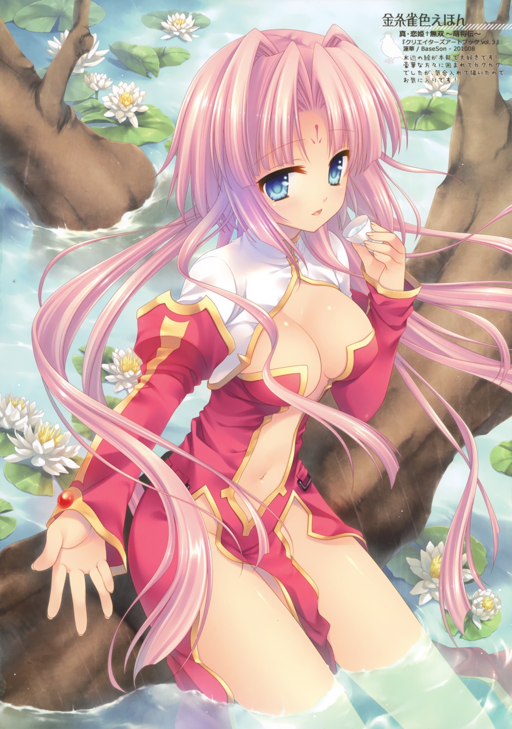 cleavage koihime_musou nopan sonken tatekawa_mako wnb