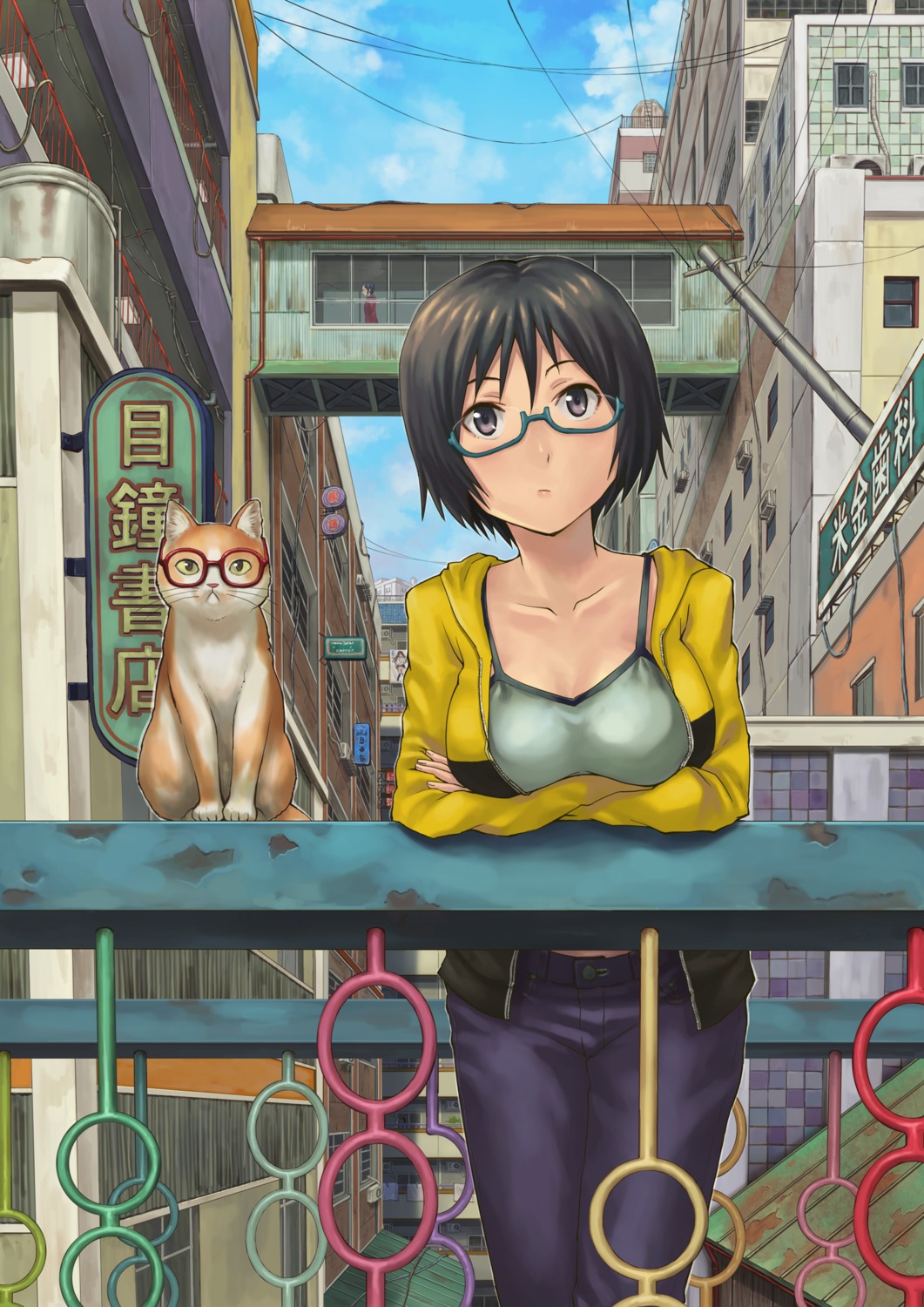 hashi megane neko