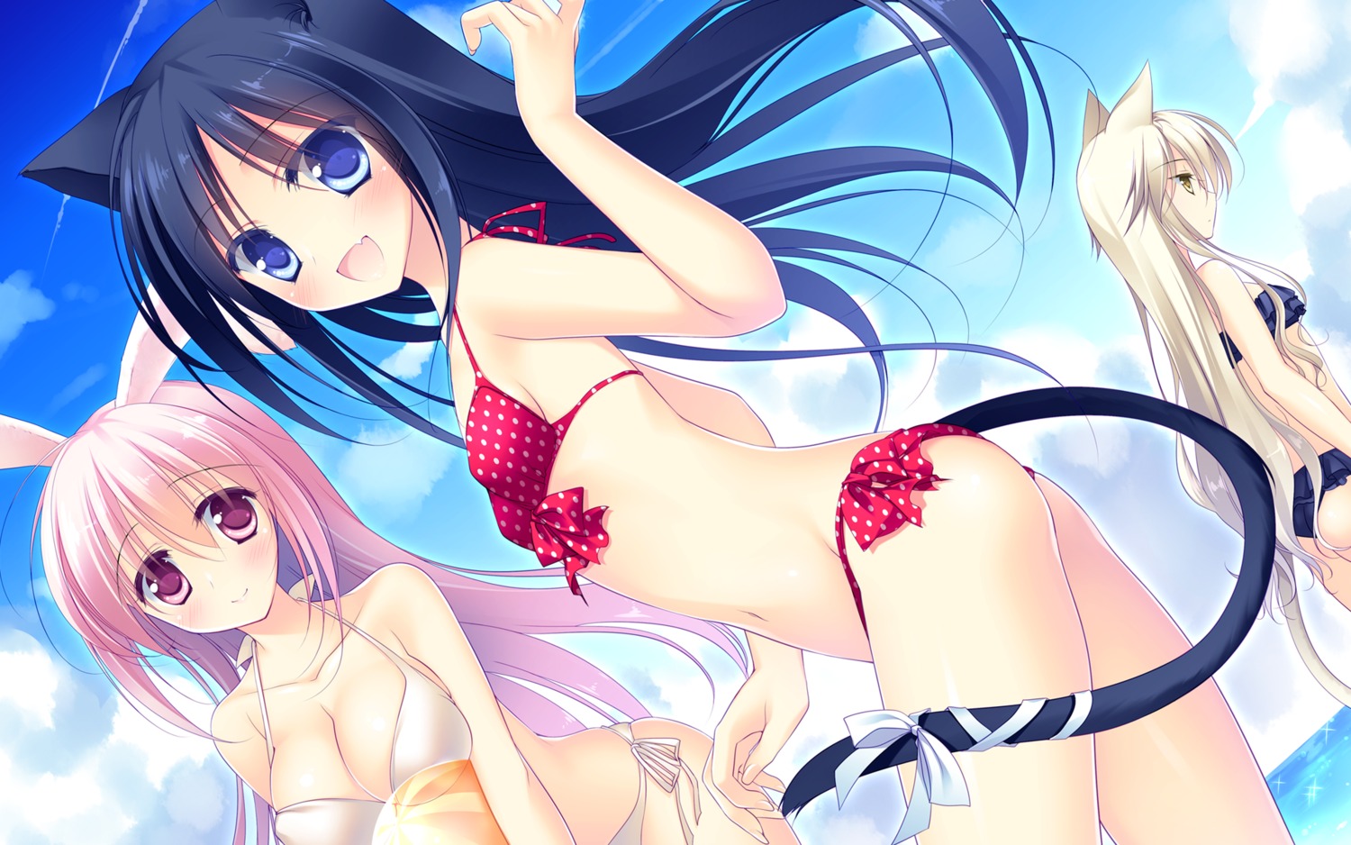 animal_ears bikini cleavage frac motomiya_mitsuki nekomimi swimsuits tail wallpaper