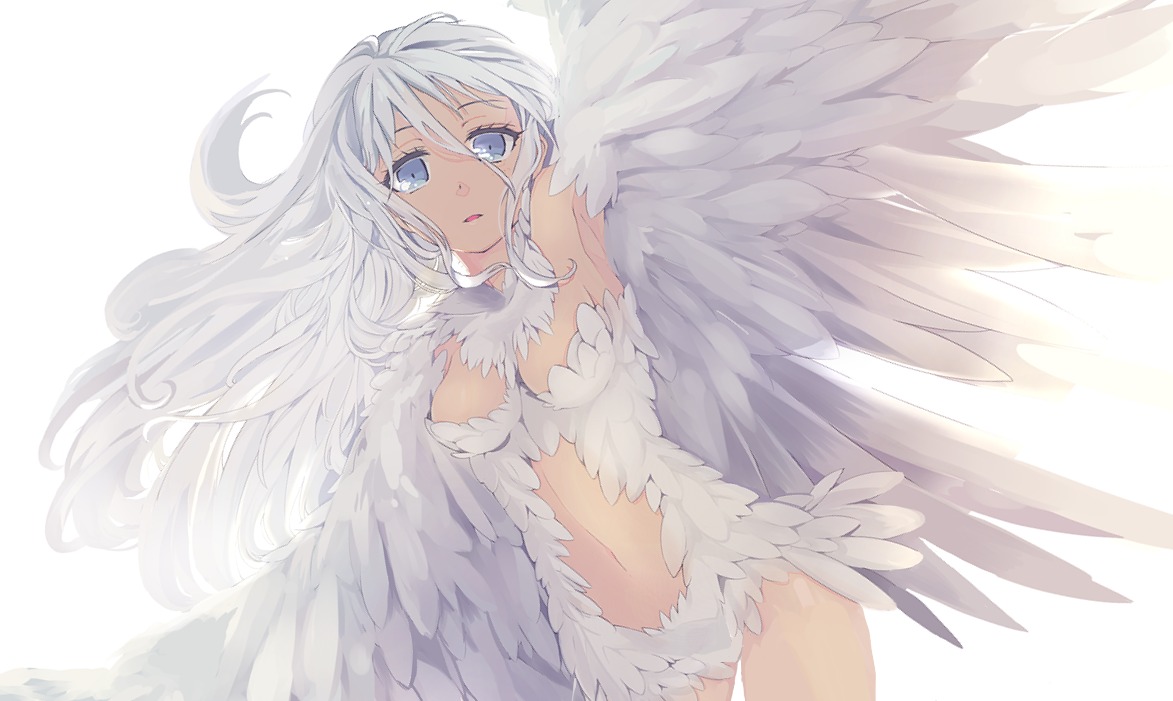 cleavage mizushirazu wings