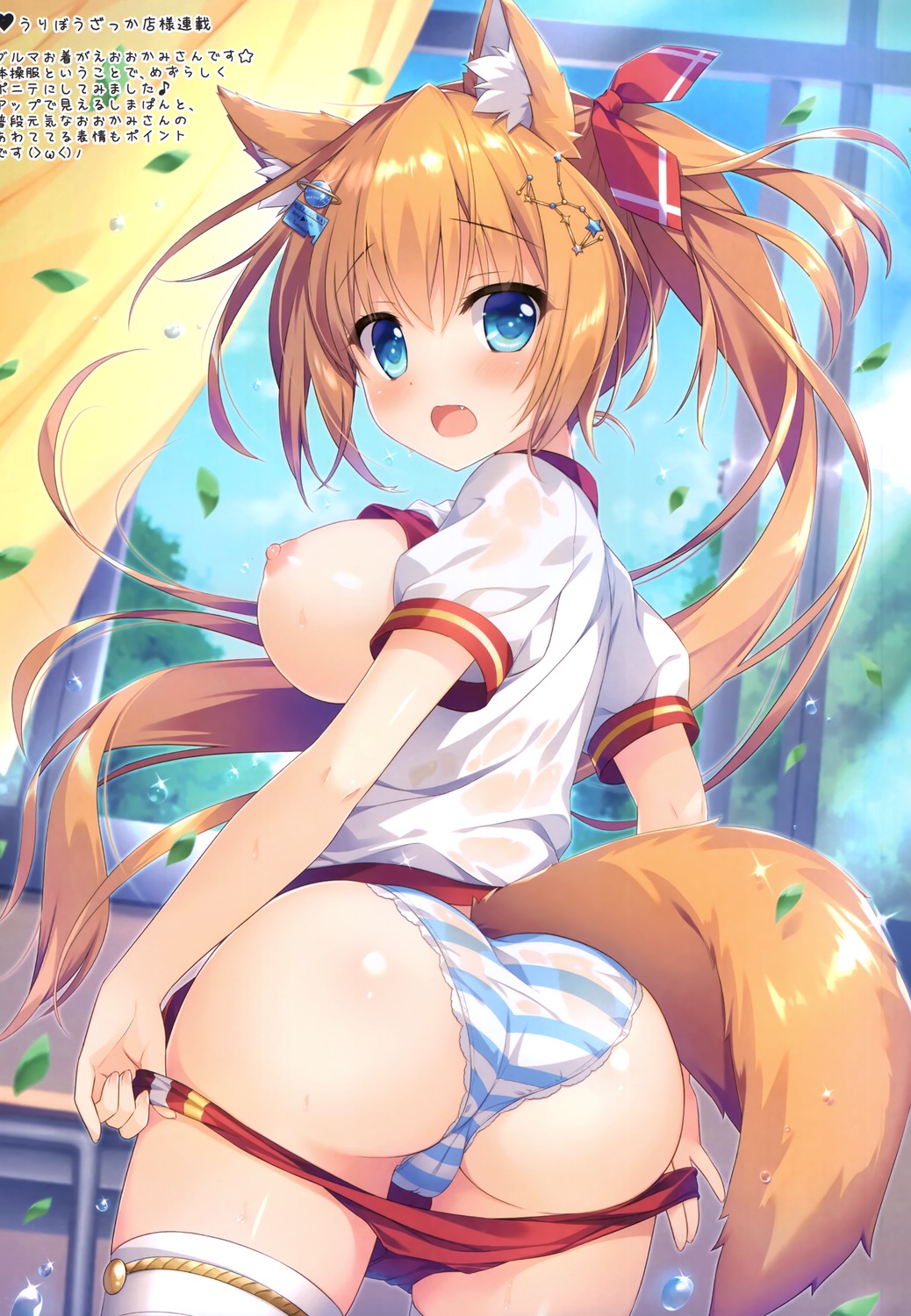 ame_nochi_yuki ameto_yuki animal_ears ass breasts buruma ekichou_ookami_(ameto_yuki) melonbooks nipples no_bra pantsu see_through shimapan shirt_lift tail thighhighs undressing wet_clothes