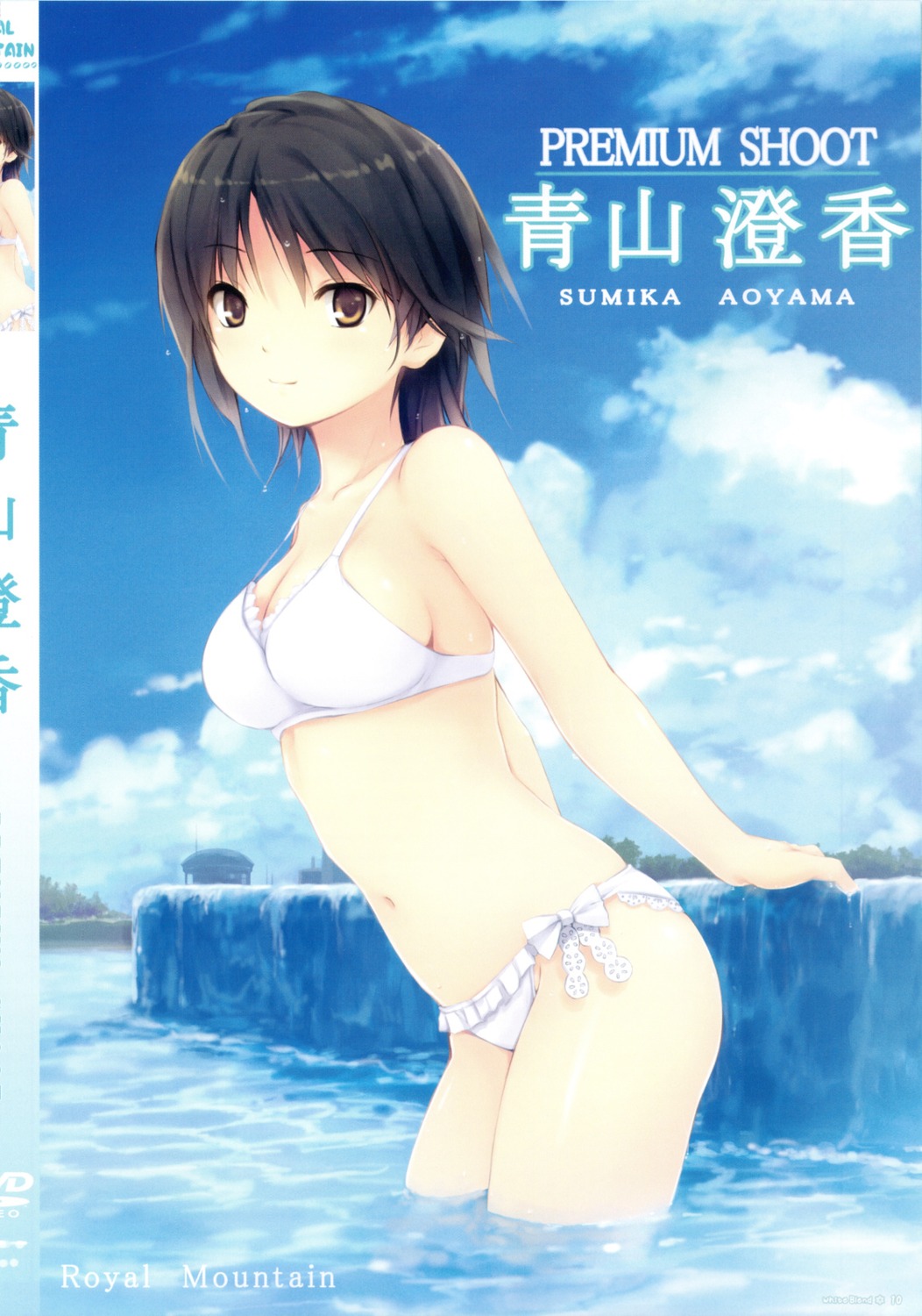 aoyama_sumika bikini cleavage coffee-kizoku jpeg_artifacts royal_mountain scanning_artifacts screening swimsuits wet