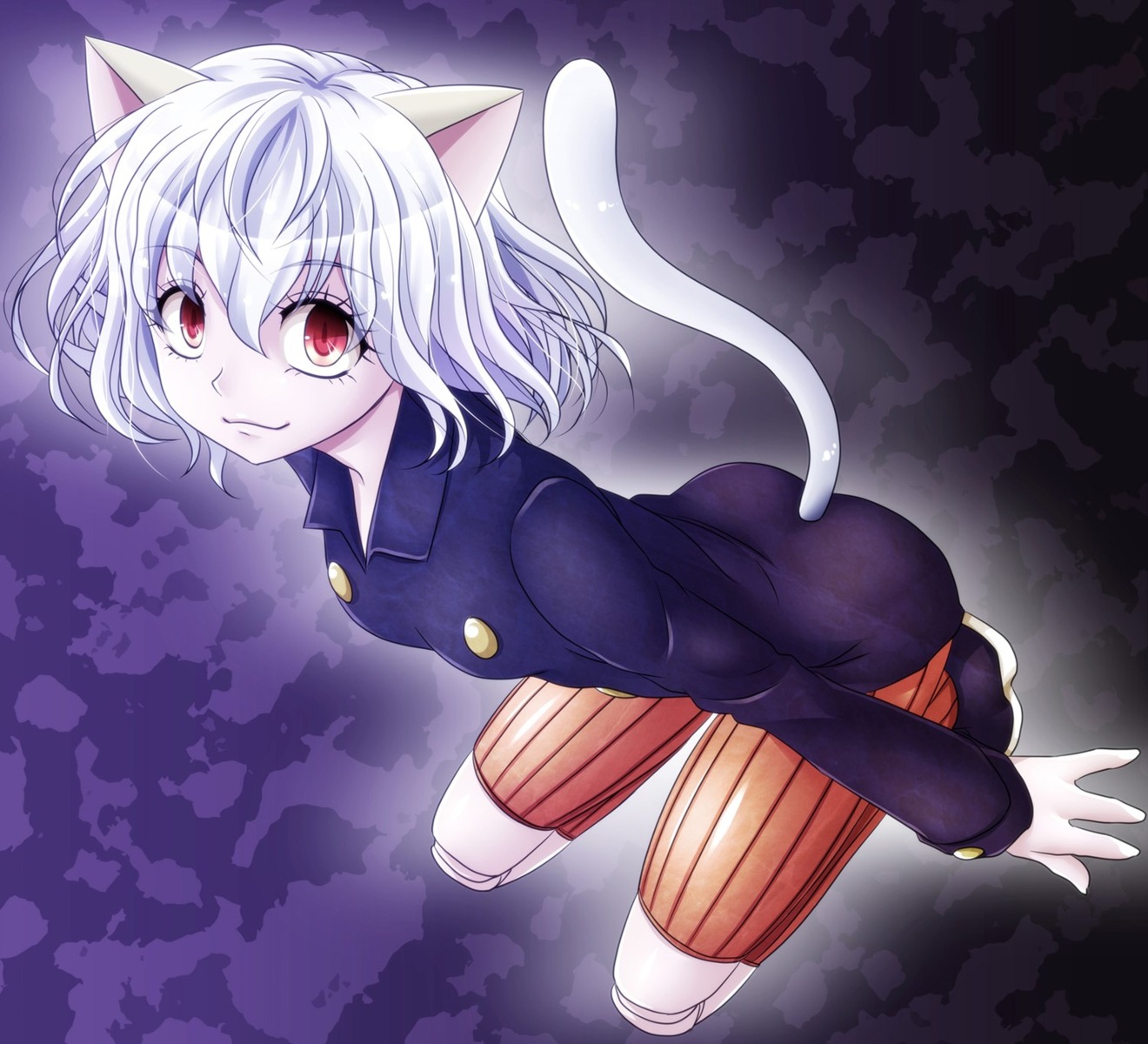 animal_ears h.t.k hunter_x_hunter nefelpitou nekomimi tail