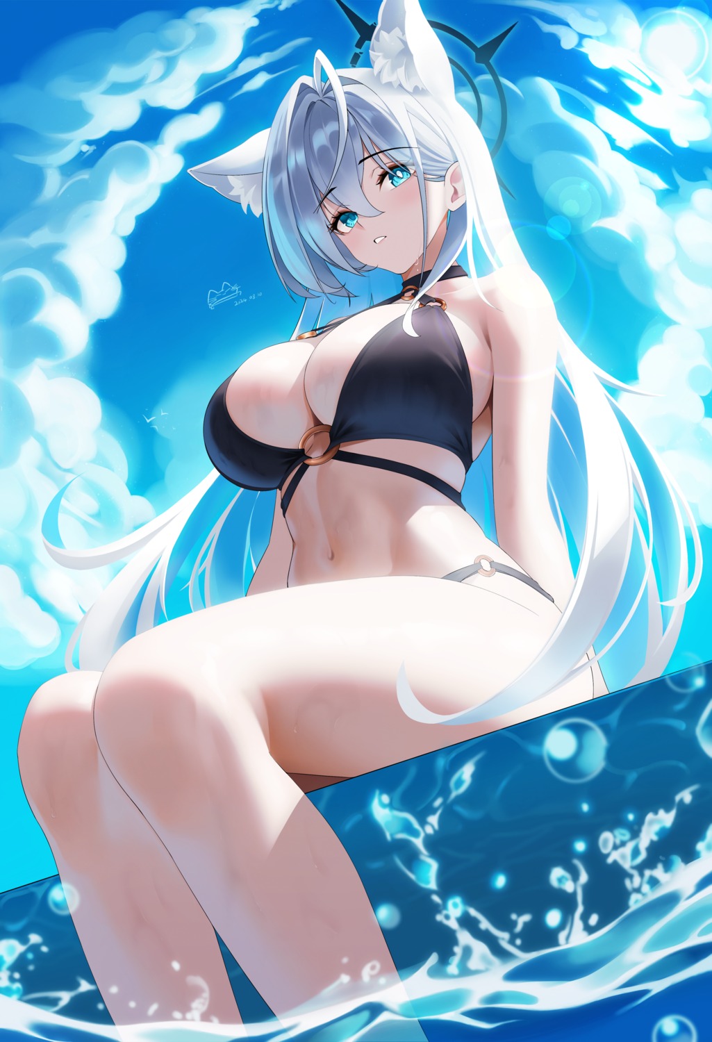 animal_ears bikini blue_archive halo kuma_mudi nekomimi shiroko_terror sunaookami_shiroko swimsuits wet