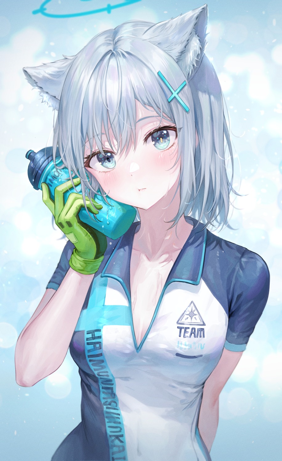 animal_ears blue_archive cleavage gym_uniform halo nekomimi sunaookami_shiroko tokkyu wet