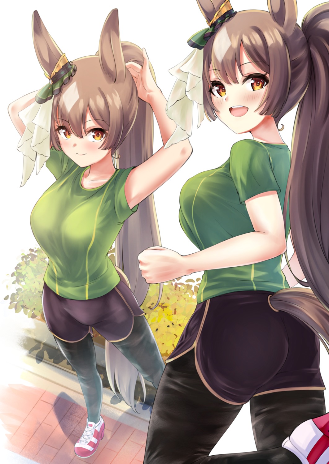 animal_ears ass gym_uniform herohero_illust satono_diamond_(umamusume) tail uma_musume_pretty_derby