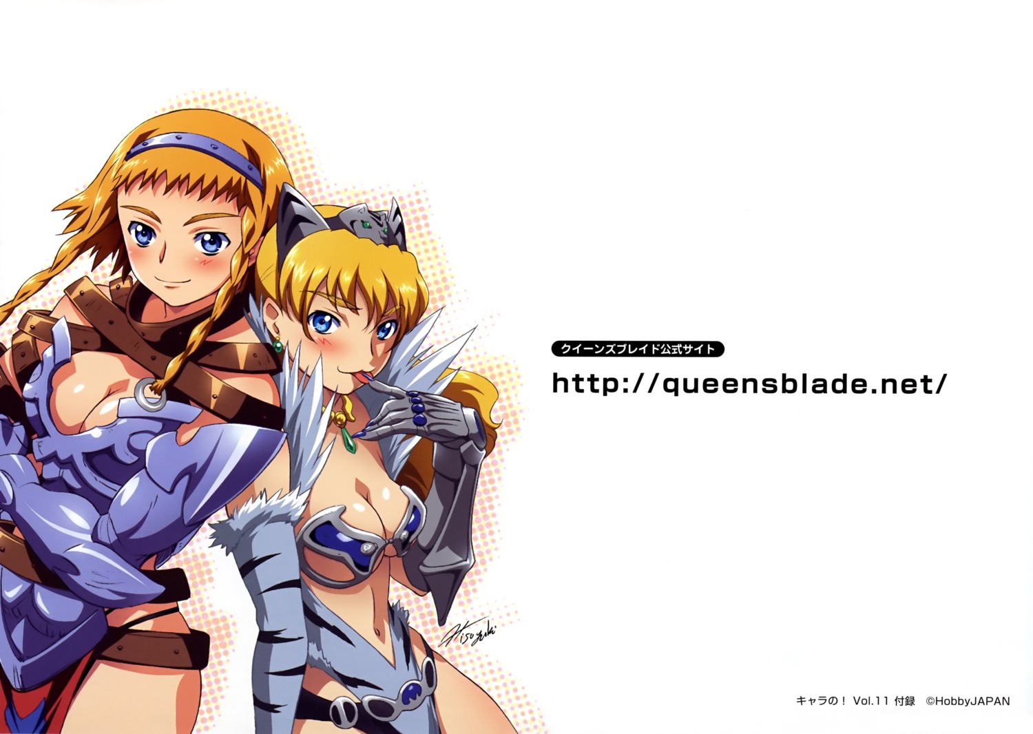 armor cleavage elina hisayuki_hirokazu leina queen's_blade