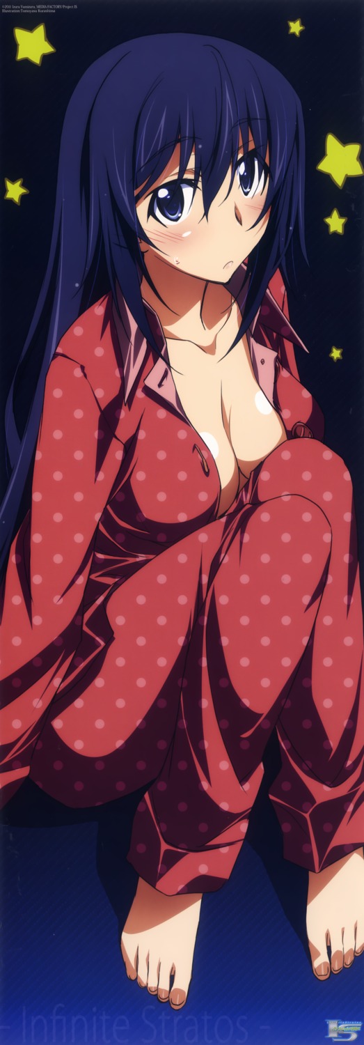 cleavage infinite_stratos kurashima_tomoyasu no_bra open_shirt pajama shinonono_houki stick_poster