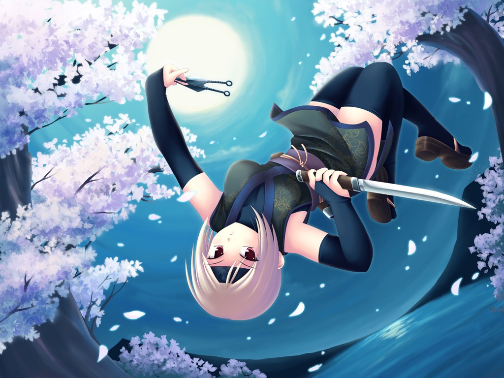 maxwindy ninja thighhighs wallpaper