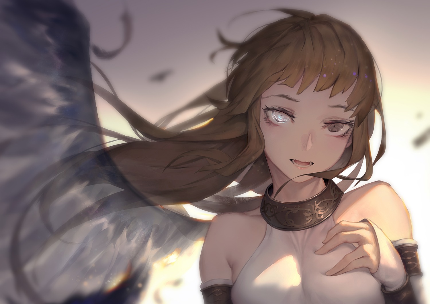 heterochromia mabinogi_heroes waymay wings